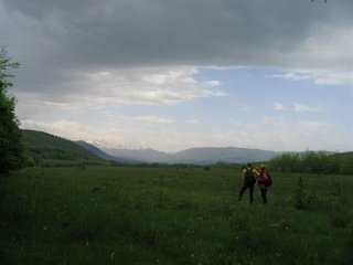 IMG_1497