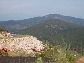 IMG_0642