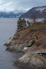 IMG_8583_resize
