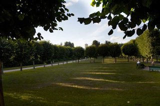IMG_5335