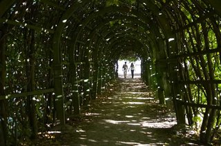 IMG_5324