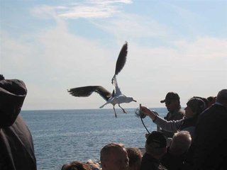 IMG_0833