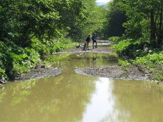 IMG_0049