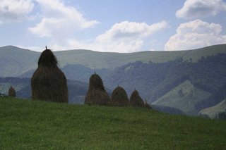 20070416