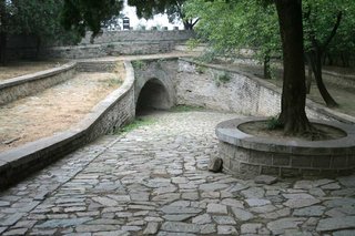 IMG_6151
