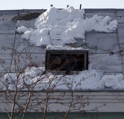 _MG_0855