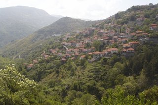 IMG_2346