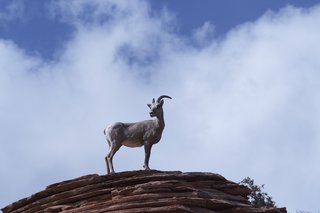 Zion canyon, Юта