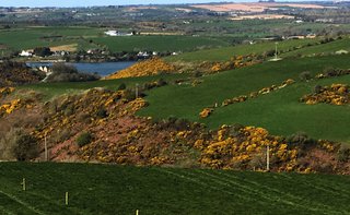 Ireland