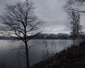 IMG_8622_resize