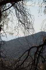 _MG_1706_resize