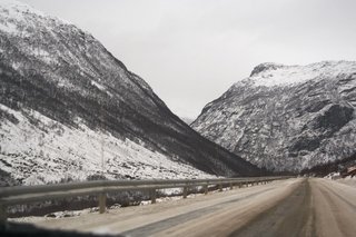 IMG_8392_resize