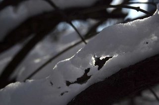 _MG_8765