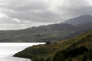 _MG_0882
