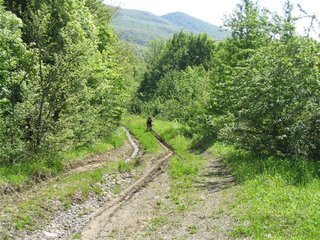 IMG_0065
