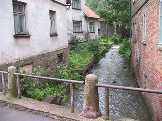 IMG_3252