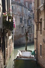 IMG_0246