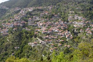 IMG_2349