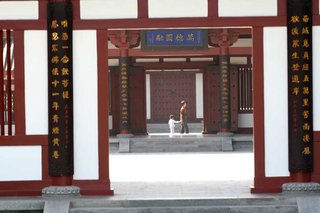IMG_6556