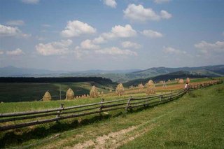 _MG_5220