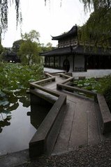 IMG_6339-1