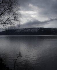 IMG_8633_resize