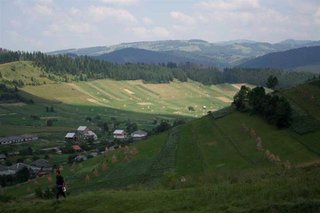 _MG_5232