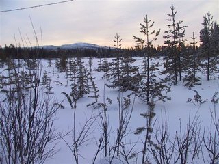 IMG_6115