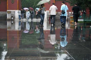 IMG_6393