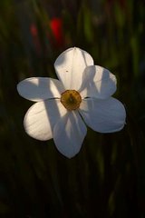 <b>ШКОЛЬНИК</b>