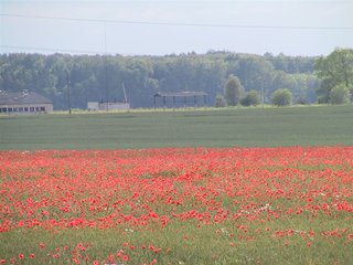 IMG_3367