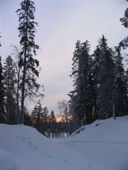 IMG_6129