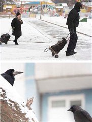 Без названия
