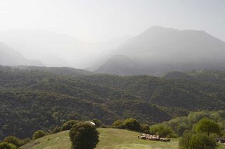 _MG_2270