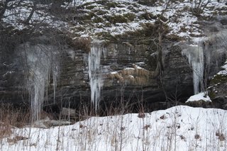 IMG_8428_resize