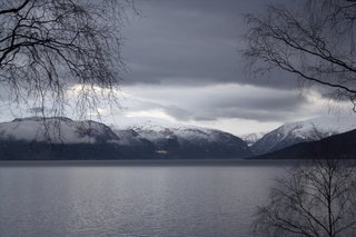 IMG_8631_resize
