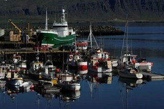 _MG_1475