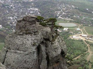 Крым