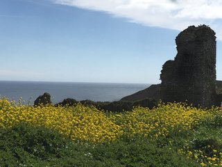 Ireland