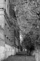_MG_3106_resize