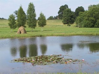 IMG_3660