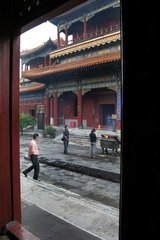 IMG_6421
