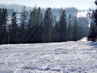 P1020454_resize