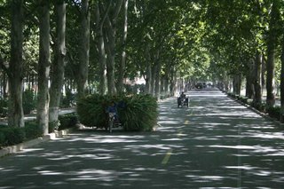 Сбор кукурузы