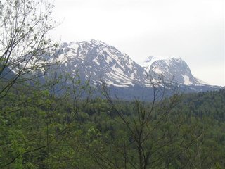 IMG_1464