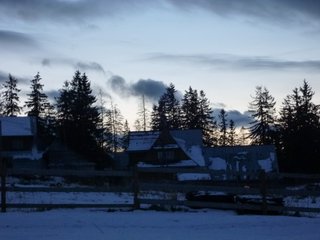 P1020542_resize
