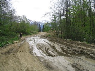 IMG_1456