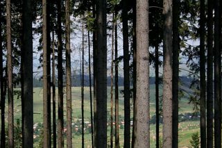 _MG_5215