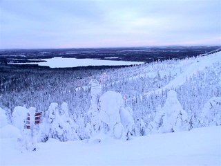 IMG_6155