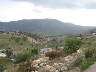 IMG_0669